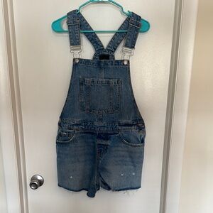Wild Fable Blue Denim Overalls with Adjustable Straps and Distressed Finish